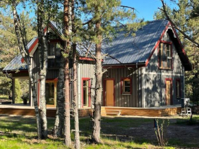 Luxury Villa Pitraga Viļņi in Pitrags